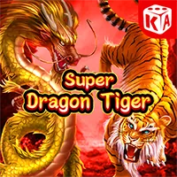 Công nghệ mã hóa SSL Wintha