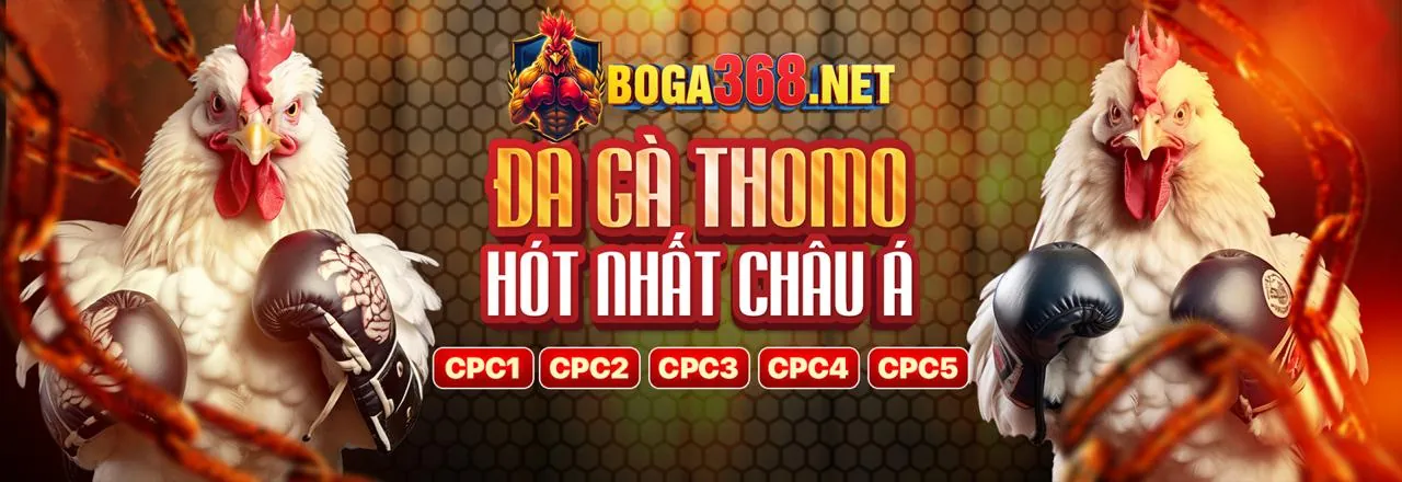 Đá gà trực tuyến Wintha 2026